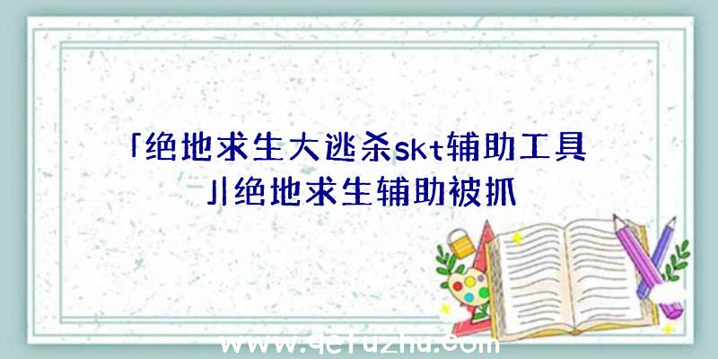 「绝地求生大逃杀skt辅助工具」|绝地求生辅助被抓